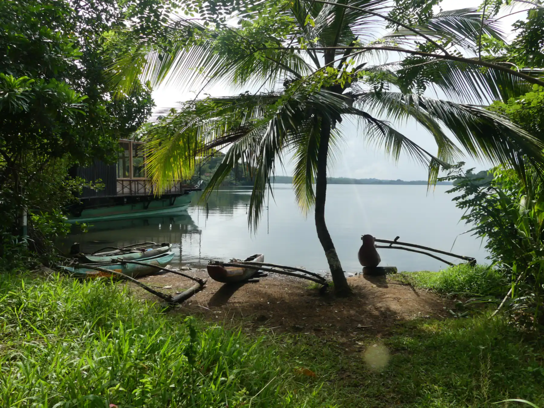 A palm tree and a small boat on the shore of Koggala Lagoon.