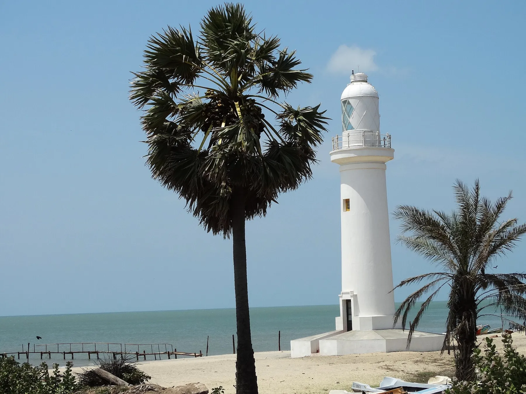 A white lighthouse on a sandy shore at Talaimannar, with a tall palmyra palm in front and the sea behind.