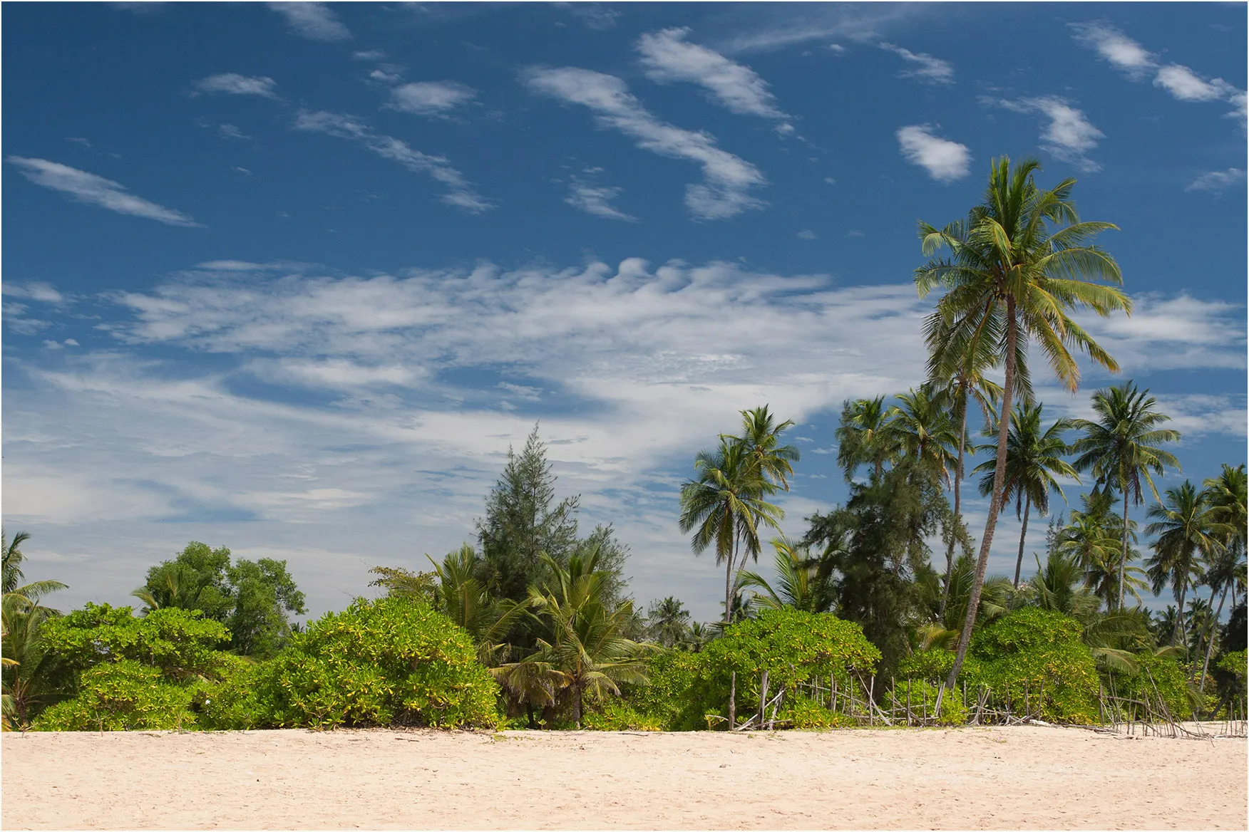Palm trees and green shrubs behind a pale sandy beach at Tangalle under a blue sky with light clouds.