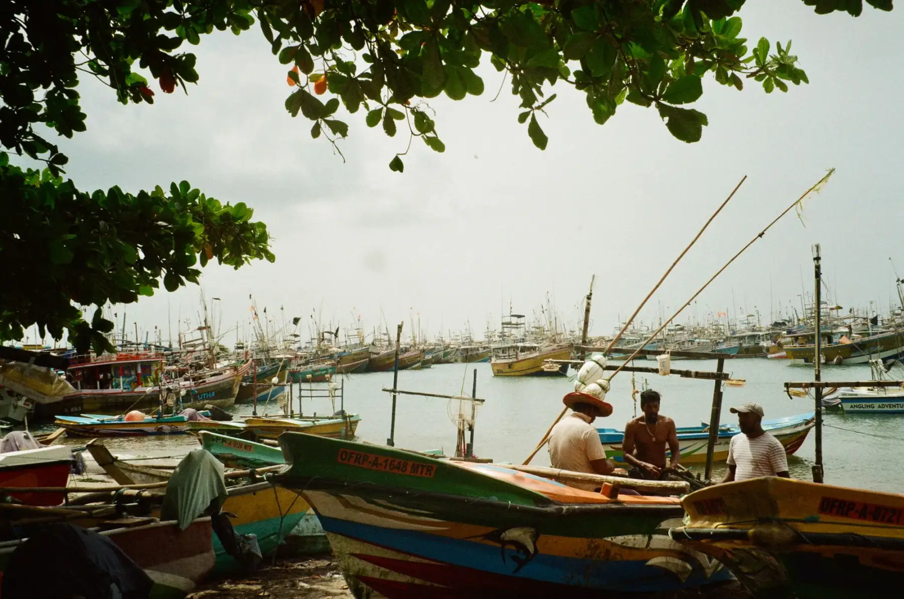 A busy Sri Lankan fishing harbour crowded with boats.