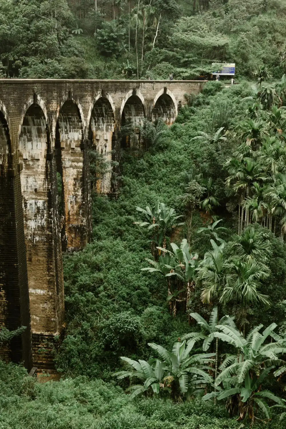 The Nine Arch Bridge surrounded by dense green jungle near Ella.