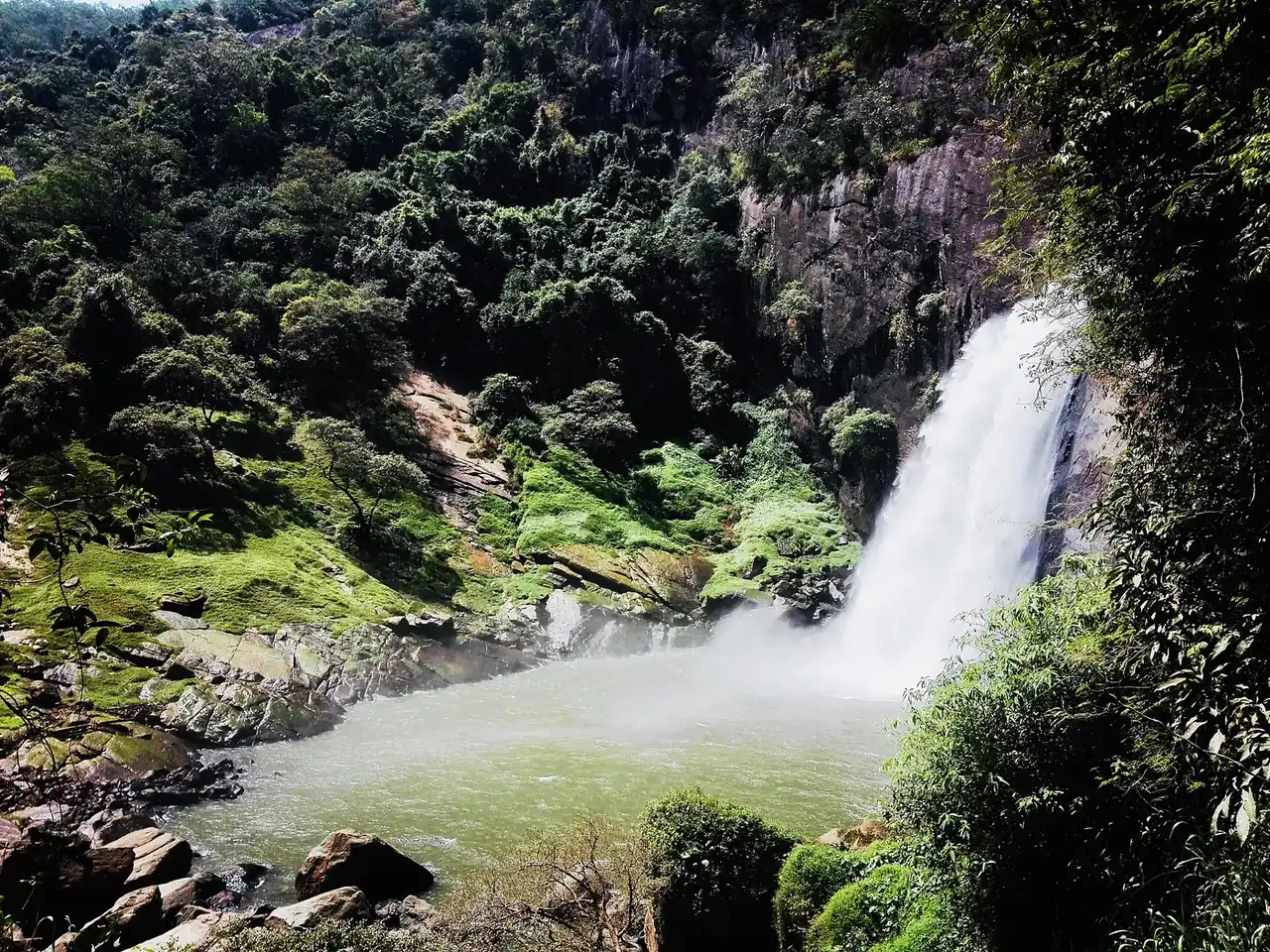 Dunhinda Falls dropping as a white ribbon of water into a rocky pool, framed by green forest near Badulla.