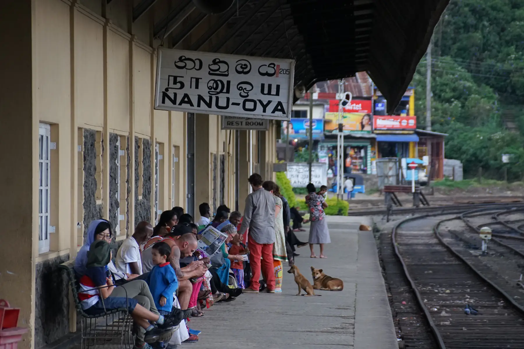 Passengers waiting on the platform at Nanu Oya railway station.