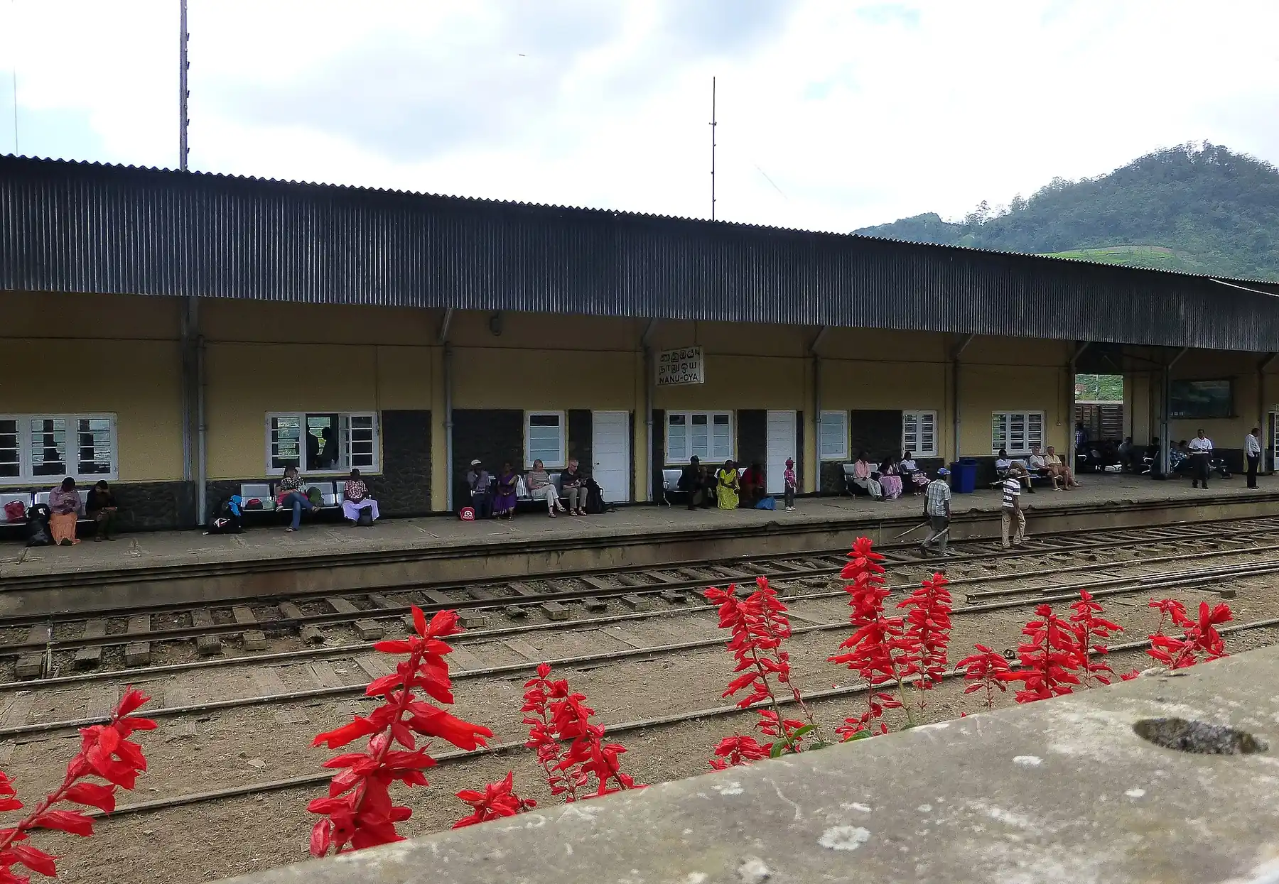 Passengers waiting on the yellow platform of Nanu Oya station, with red flowers beside the tracks in front.