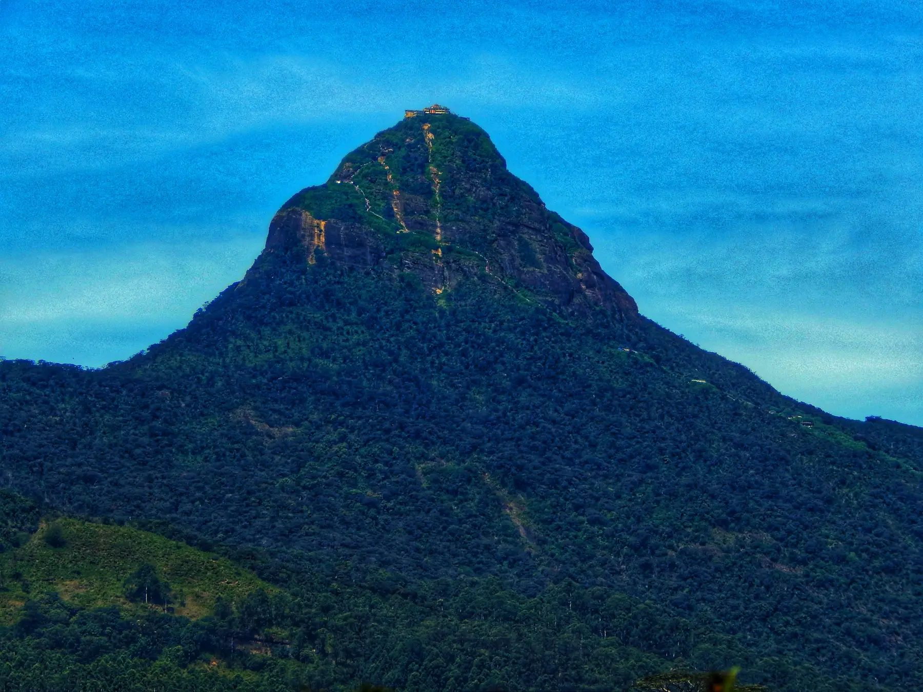 The forested cone of Sri Pada (Adam's Peak) with the pilgrim path and summit shrine visible near the top.