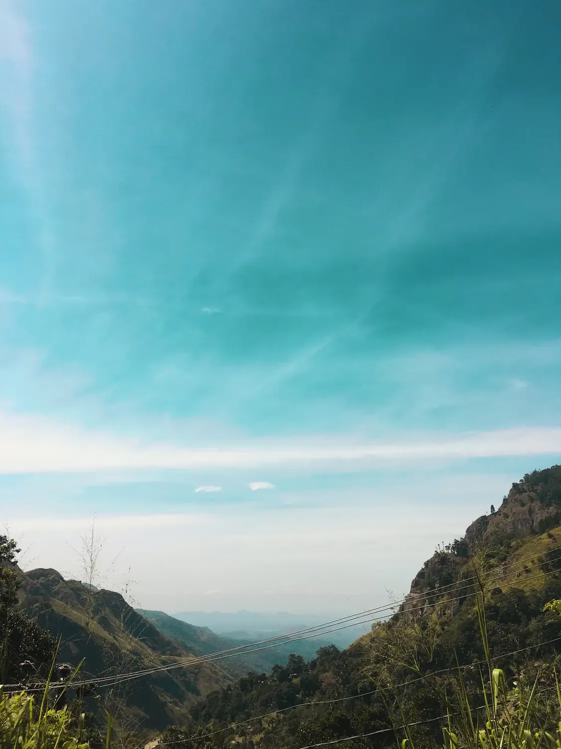 Looking down a forested valley from Ella Rock, with a blue sky, distant hills and power lines in the foreground.