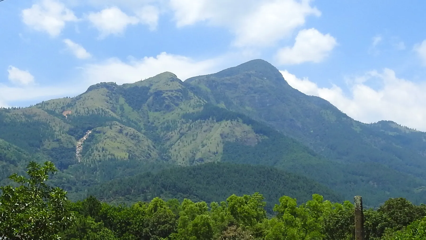 A large forested mountain with grassy upper slopes, seen from Belihuloya in the Sabaragamuwa hills.