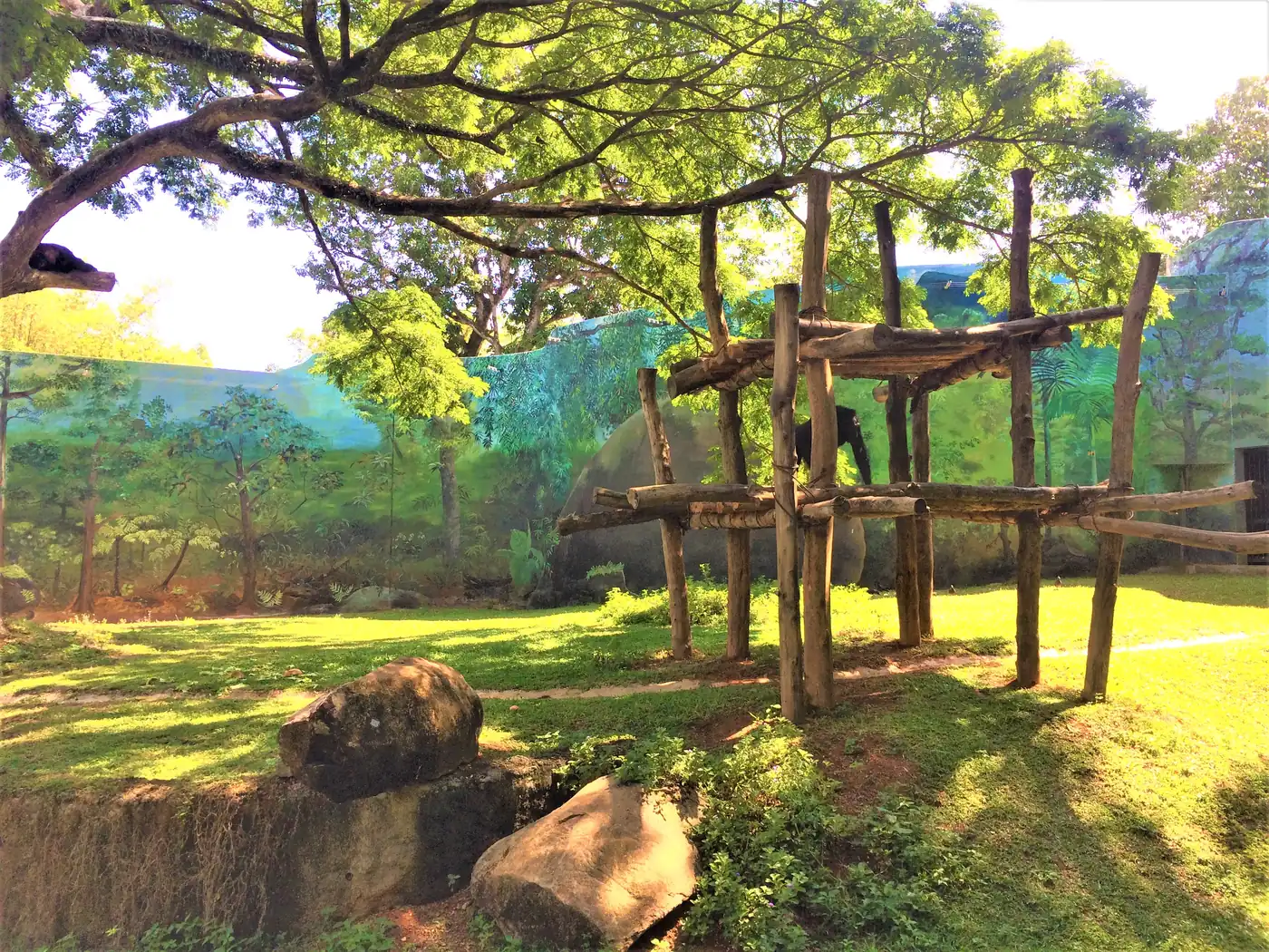 An animal enclosure at Dehiwala Zoo with a wooden shelter, rocks and green trees.
