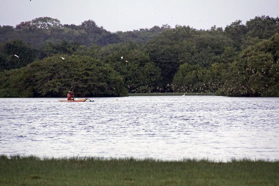 Rekawa Lagoon with a small kayak out on the water and dense green trees along the far shore.